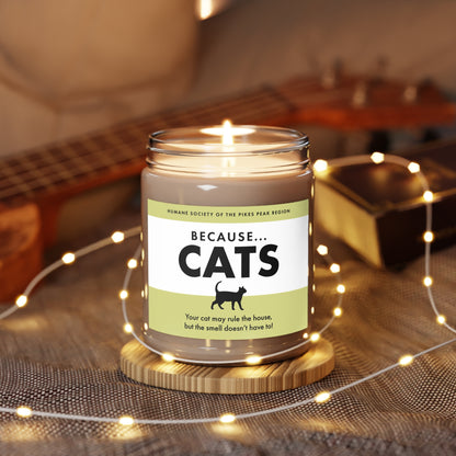 "Because Cats" Scented Candle