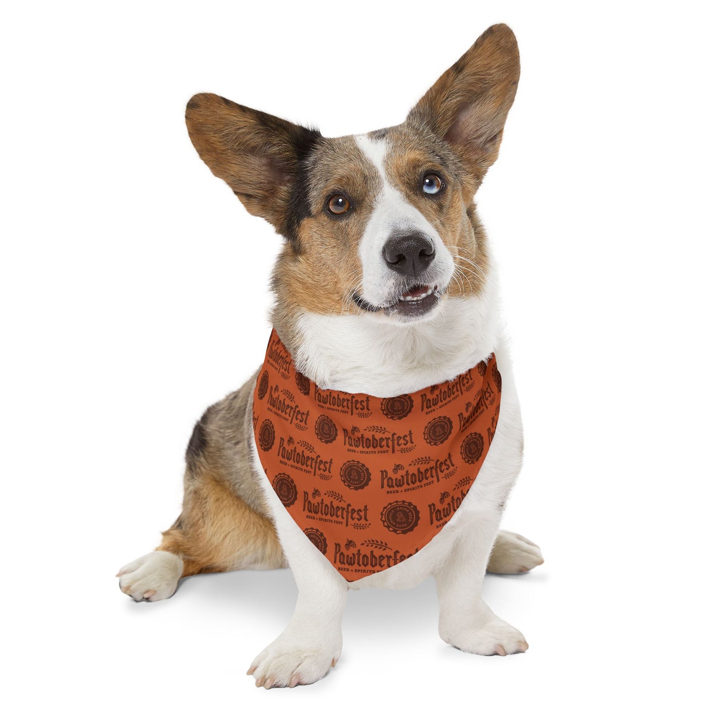 Pawtoberfest Pet Bandana Collar