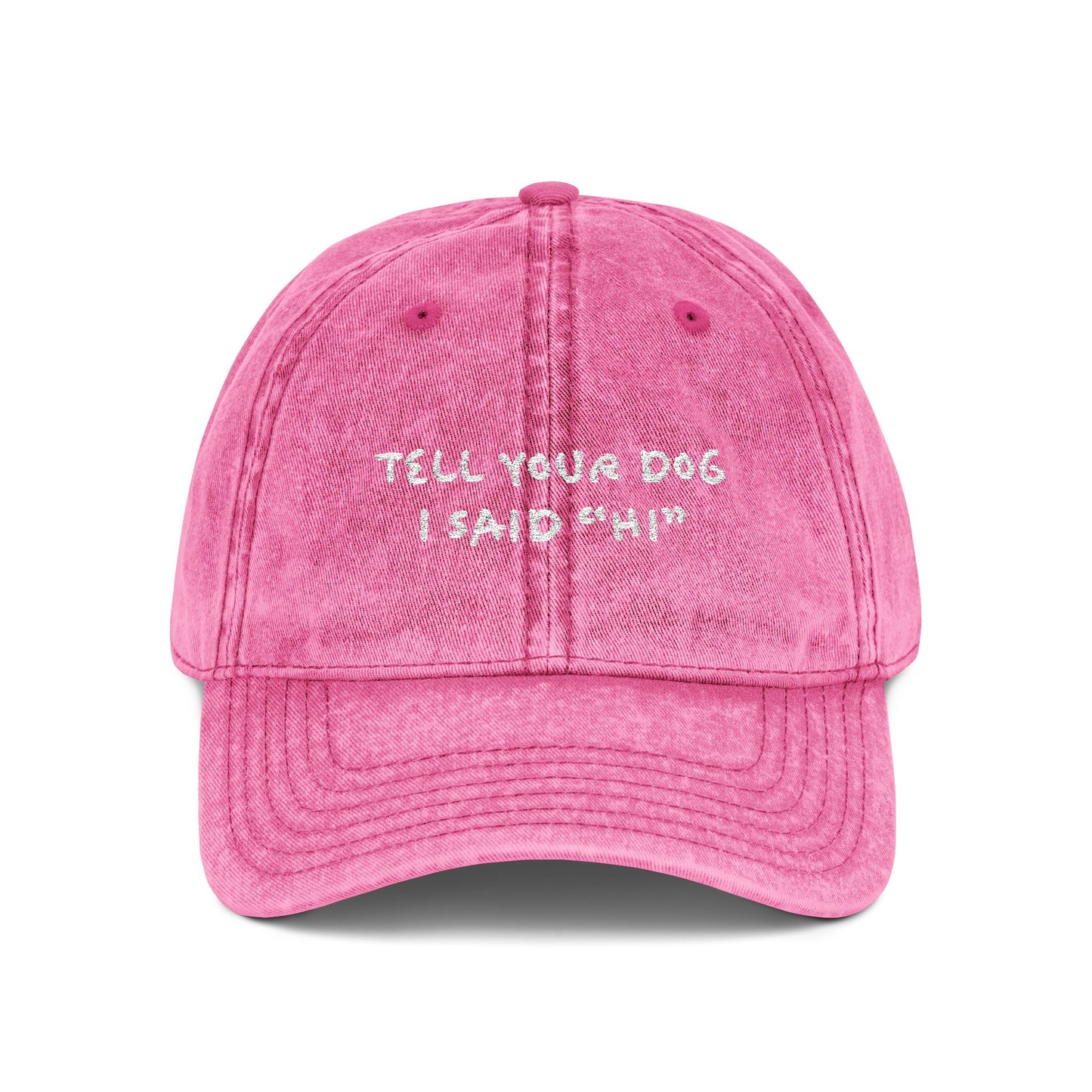 Tell Your Dog Hi - Embroidered Vintage Cap