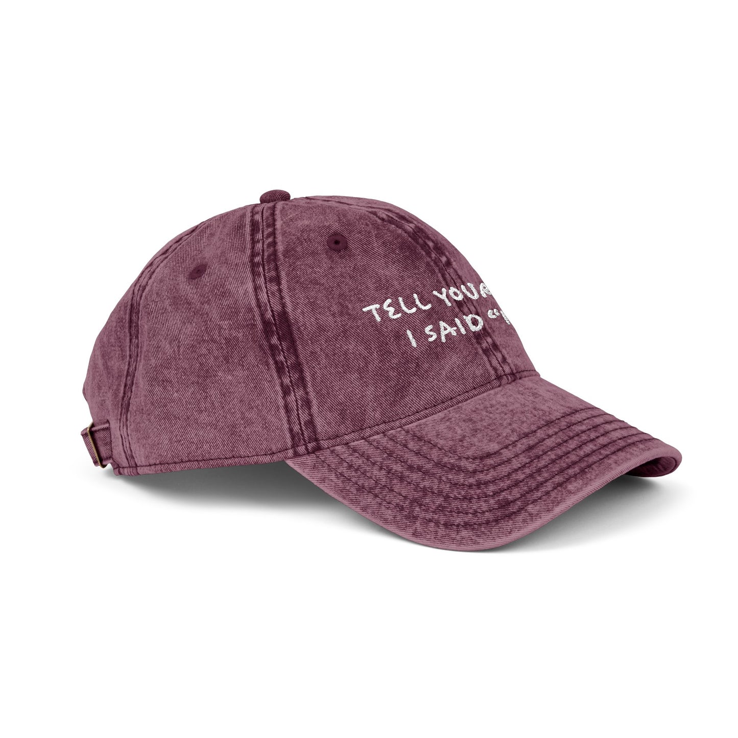 Tell Your Dog Hi - Embroidered Vintage Cap
