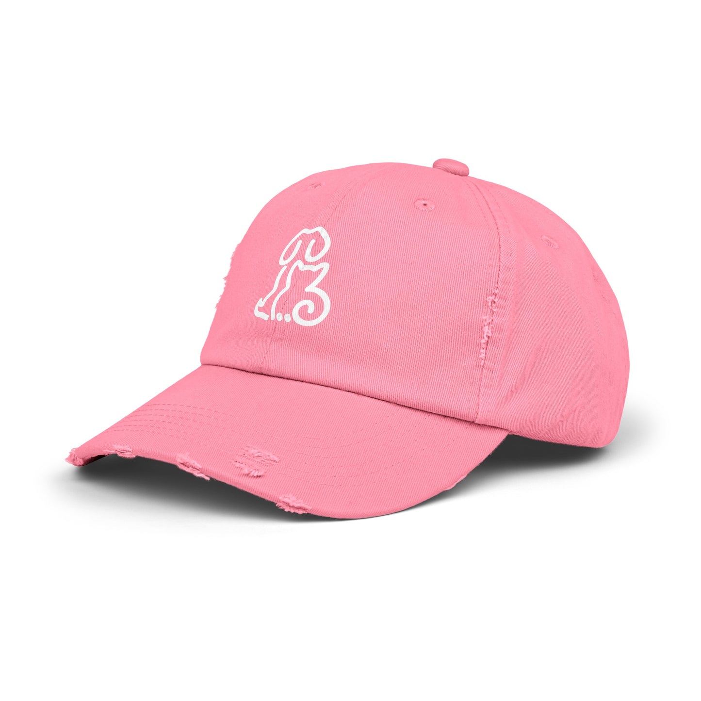 HSPPR Logo - Distressed Baseball Hat