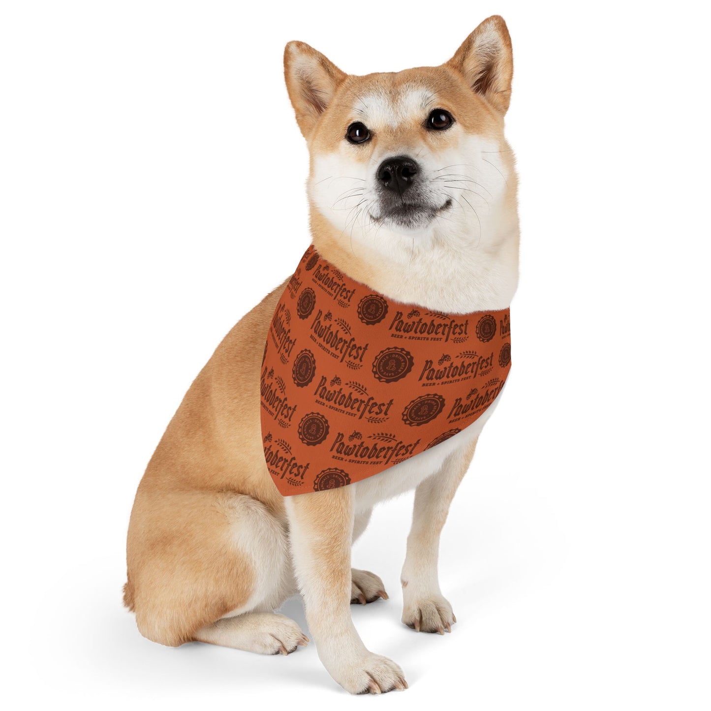 Pawtoberfest Pet Bandana Collar