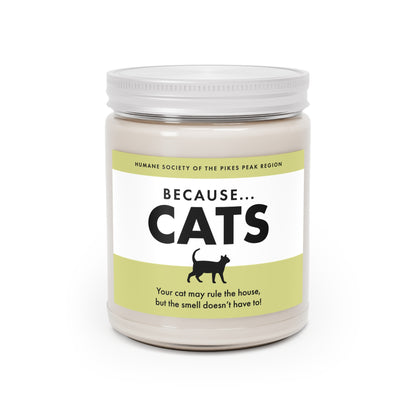 "Because Cats" Scented Candle